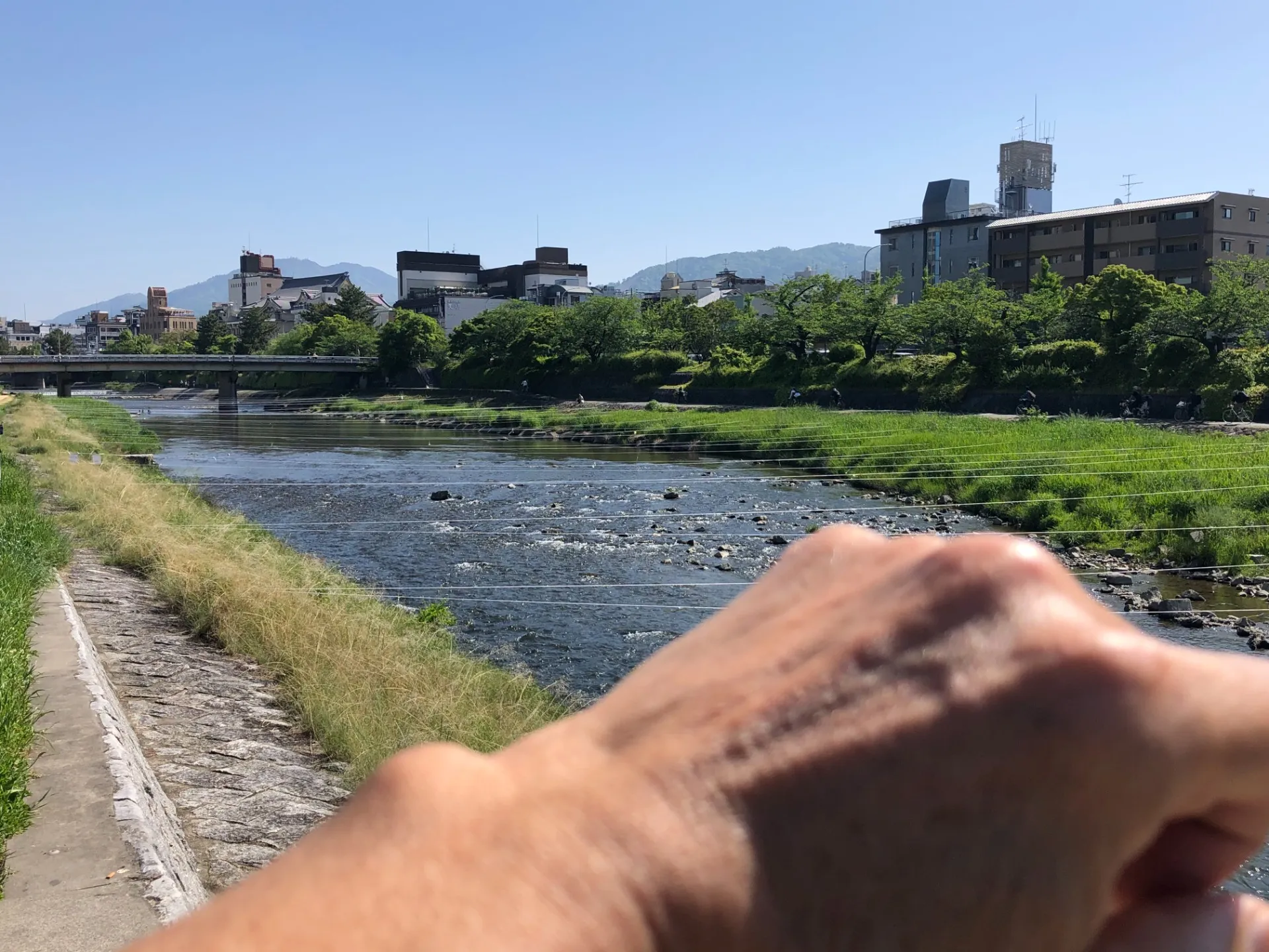 日焼けによるダメージケア